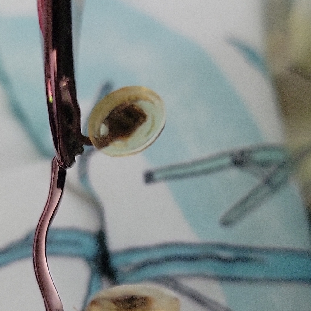 EUC Ray ban's - Picture 7 of 8